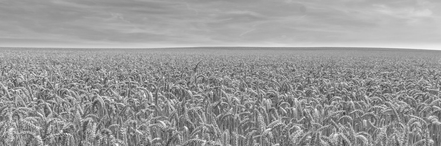 pheasantcapital's profile banner image