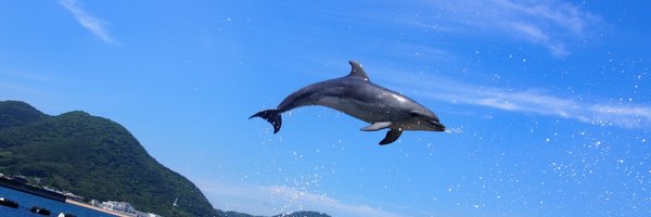 ShooStream Profile Banner