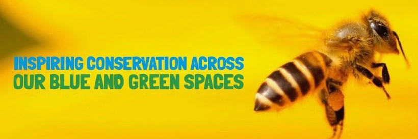 We Are Pollinator Pioneers banner