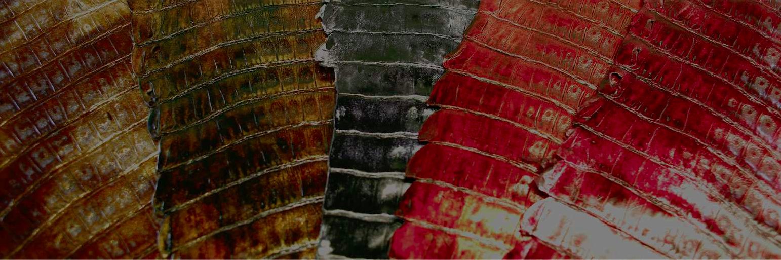PanAmLeathers's profile banner image