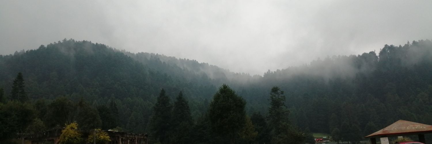 HeidyOC's profile banner image