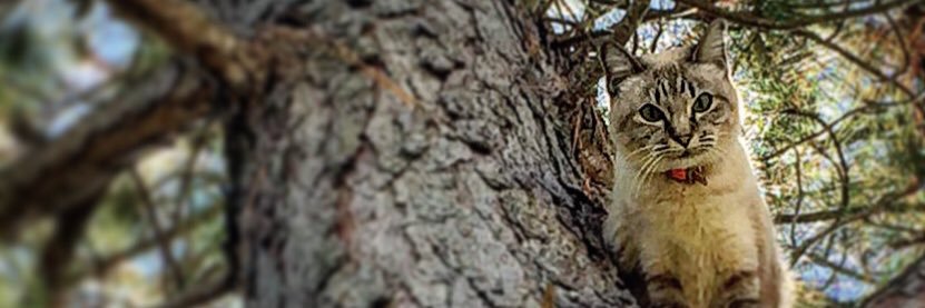 mara665's profile banner image