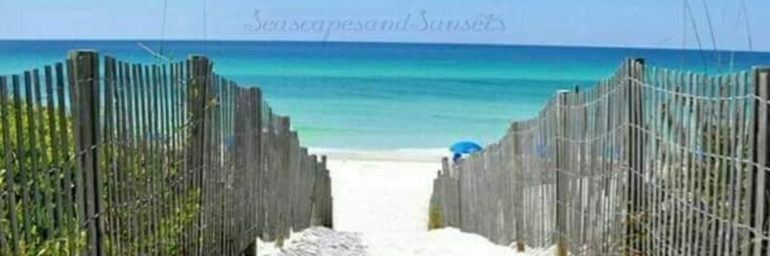 olindateixeira's profile banner image