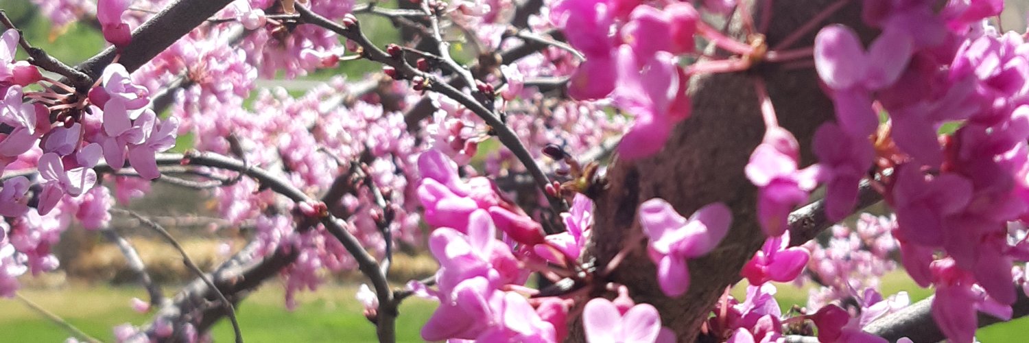 A_estes's profile banner image