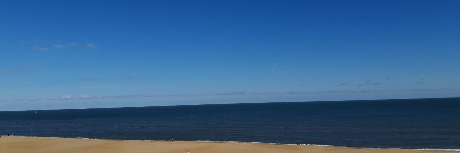 Stephen Wormall banner