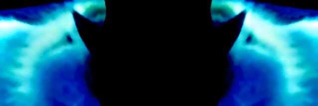SINEMA_Cody's profile banner image
