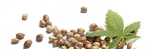 Samantha Jo Walsh banner