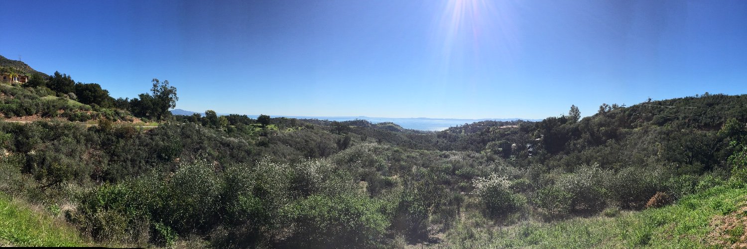 JF 🌻✌🏼❤️🎼 🟦♋️ 🦀🌙 ⚖️ ☯️🐬 banner