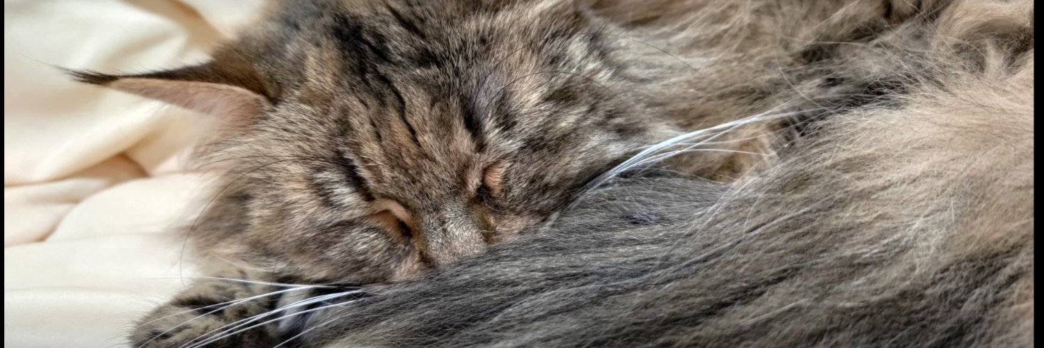 pome777's profile banner image