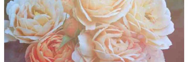 NatalieDenman's profile banner image