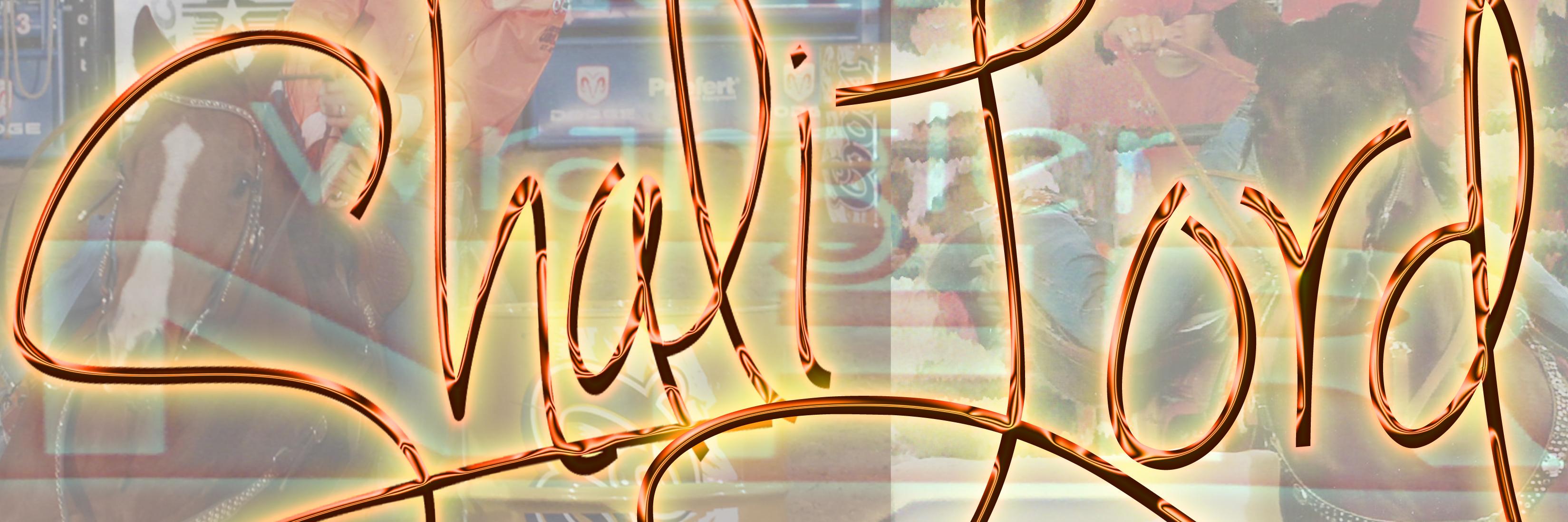 ShaliandSlider's profile banner image