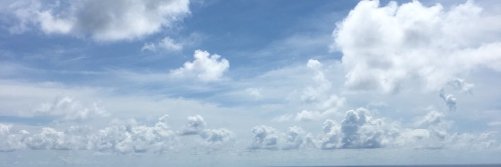 Cllr Mariam Lolavar banner