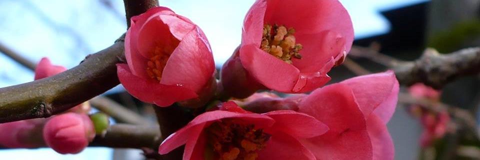 IheartESQ's profile banner image
