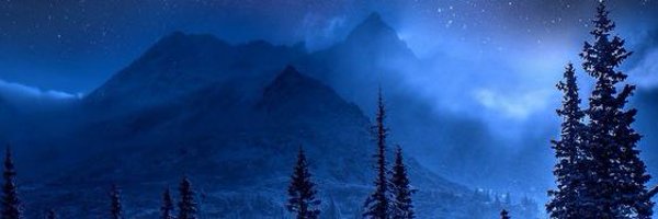 Fritzy2333 Profile Banner