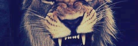 iAndresCamacho's profile banner image