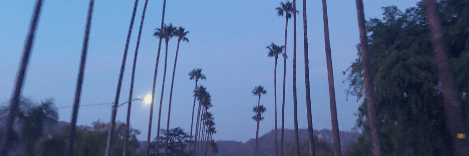 csleazyy's profile banner image