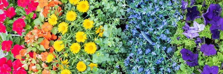 CaseysGardenShp's profile banner image