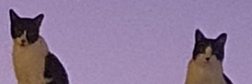 taully's profile banner image
