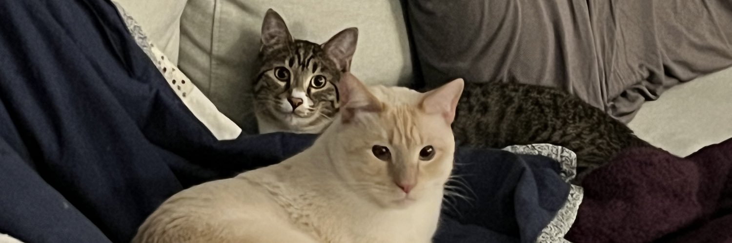cat_m0om's profile banner image