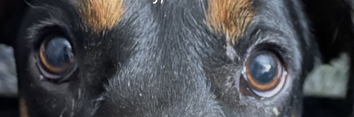 faka_'s profile banner image
