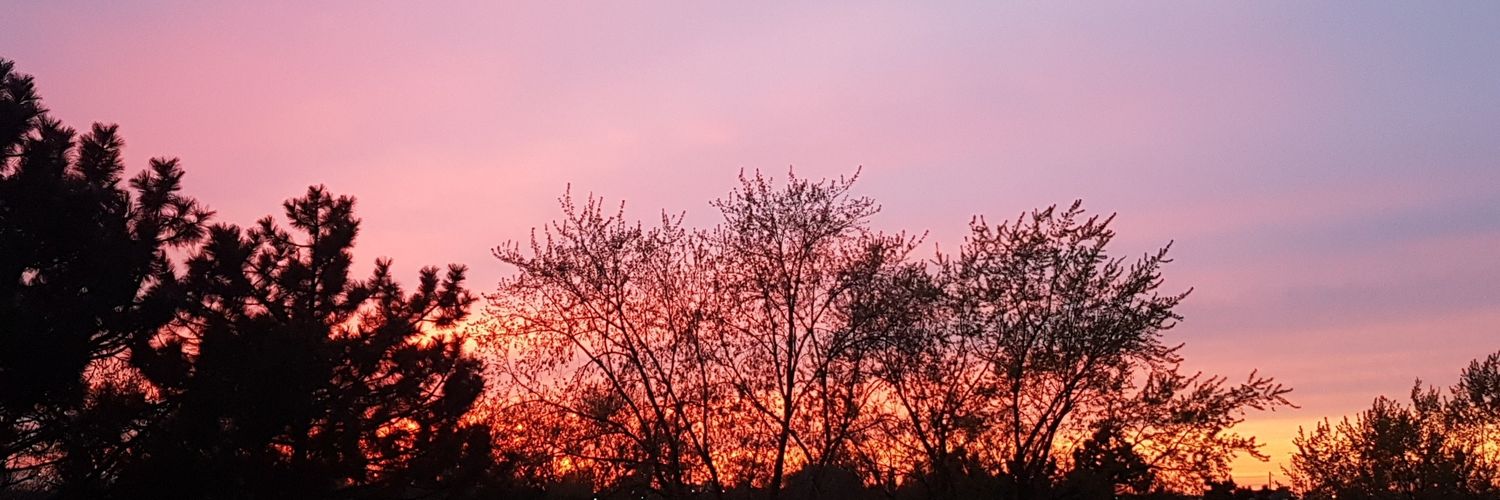justineeco_'s profile banner image