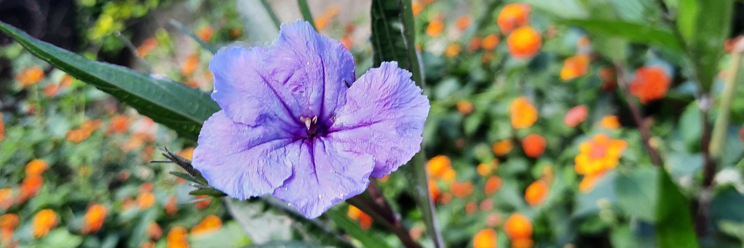 vickyhughes's profile banner image