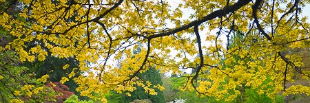 jedwalsh0's profile banner image