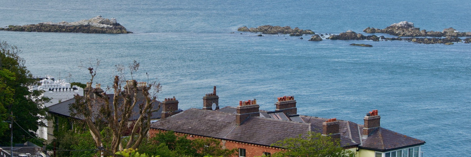 Javier Carrillo banner