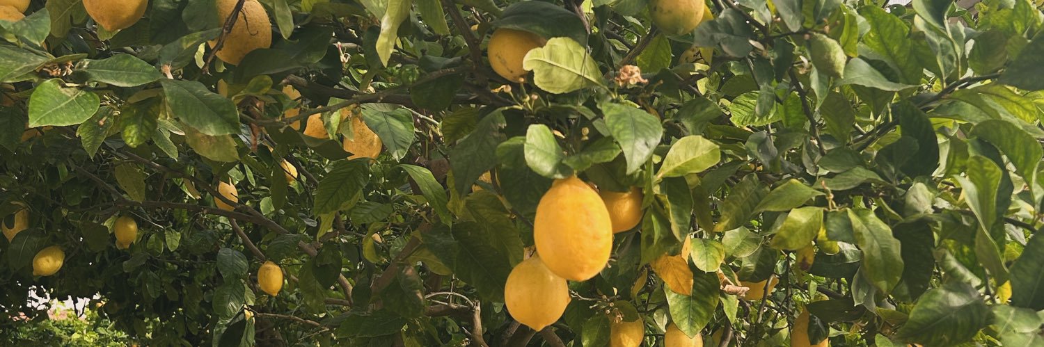 Daniel Chapman banner