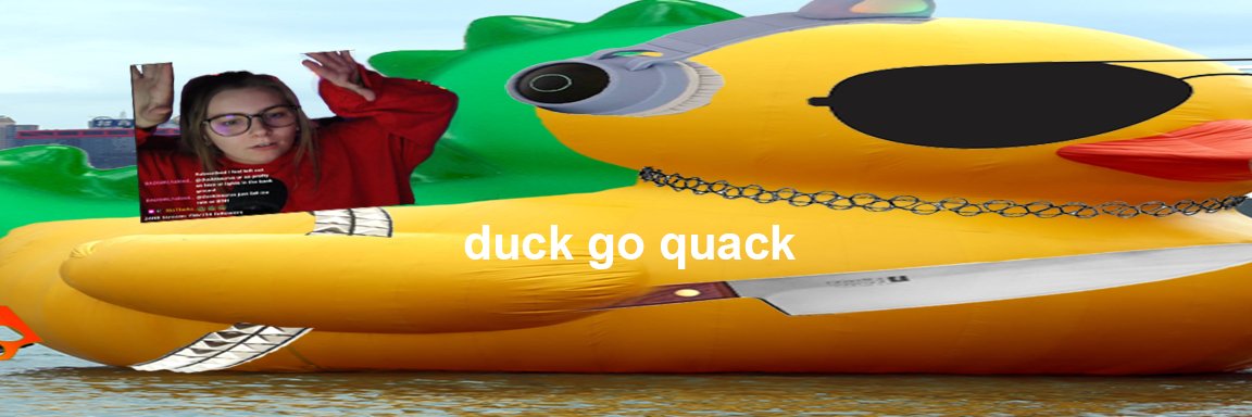 ✨ ducki banner