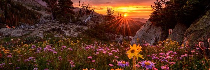 Jessica 🌊🇨🇦 🏴󠁧󠁢󠁳󠁣󠁴󠁿 banner