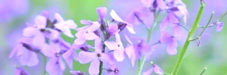 Katia711's profile banner image