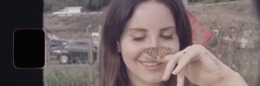 danielletierne's profile banner image