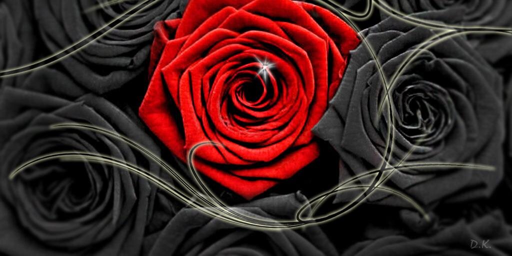 Jabyp's profile banner image