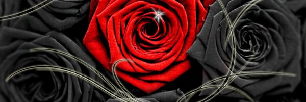Jabyp Profile Banner