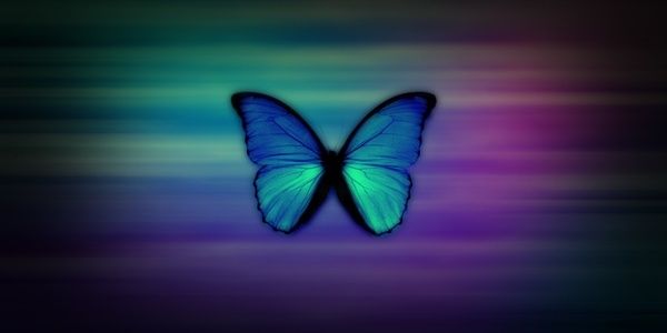 viclane's profile banner image