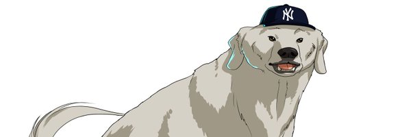 dmisemer Profile Banner