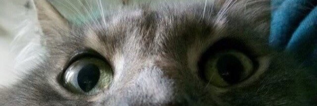 CaleighGreen's profile banner image