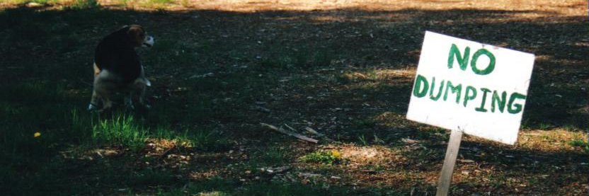 Dead Pixel 🇨🇦 banner