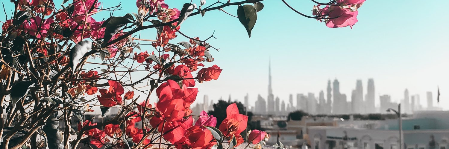 drmariam_aa's profile banner image