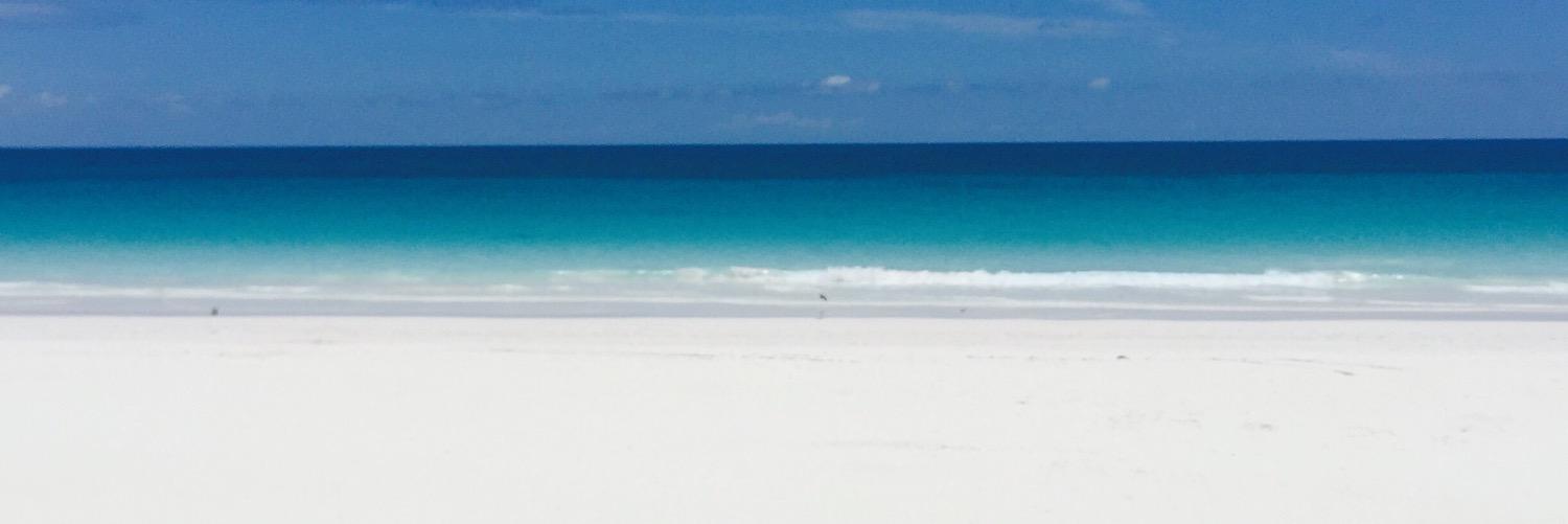 dalkey22's profile banner image