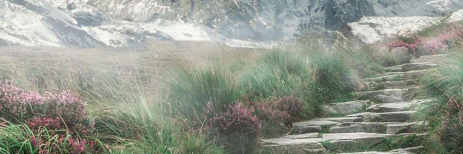 michaelsaganski's profile banner image