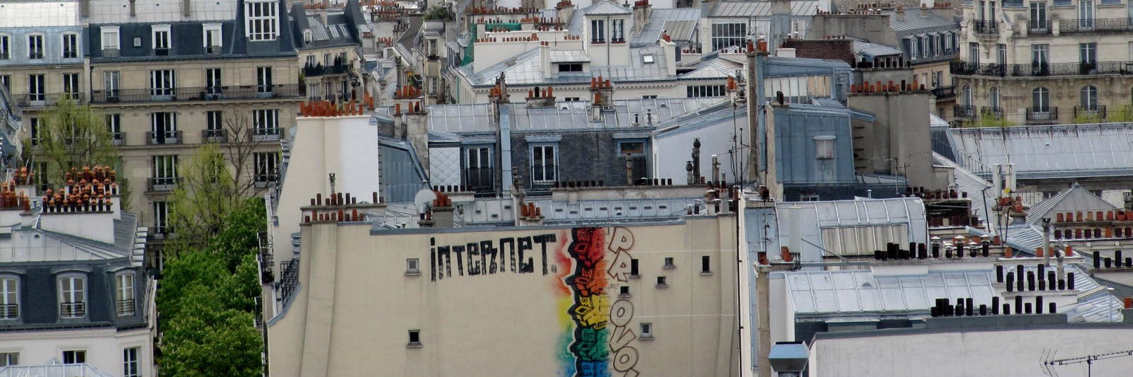 Danica Radovanović banner