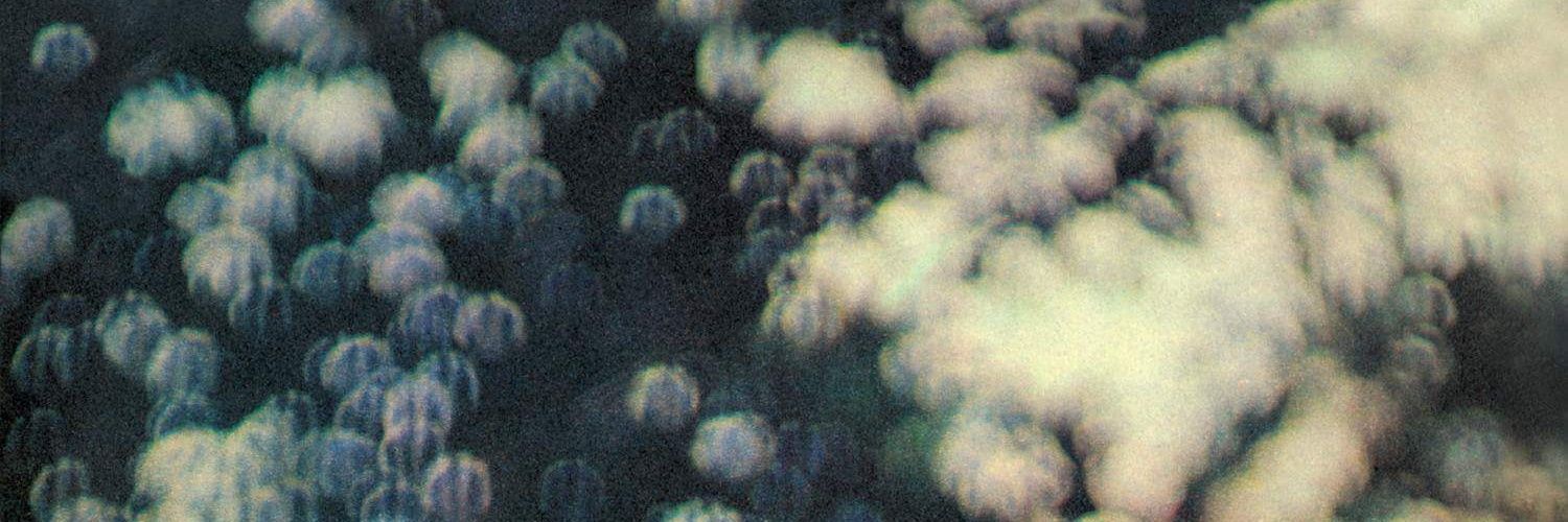 HumaNdivine's profile banner image