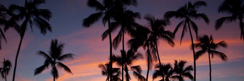 ms_abbyleonen's profile banner image