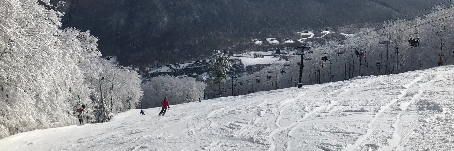 Bristol Mountain banner