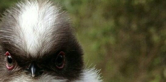 Geekspeeks's profile banner image