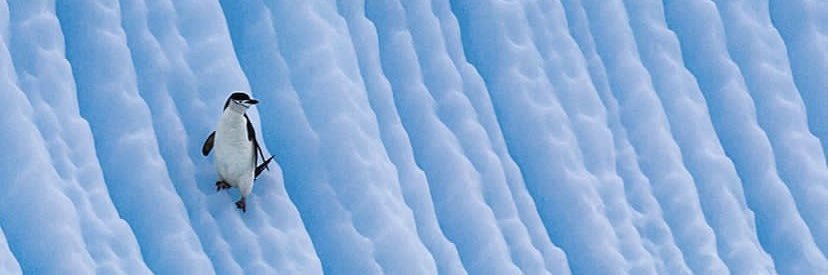 angelasmith42's profile banner image