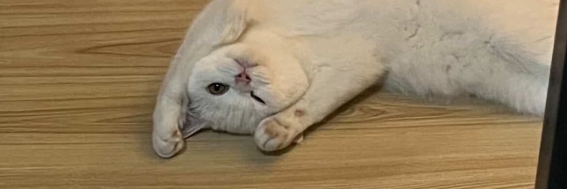 ใครคือวัว🤔 banner