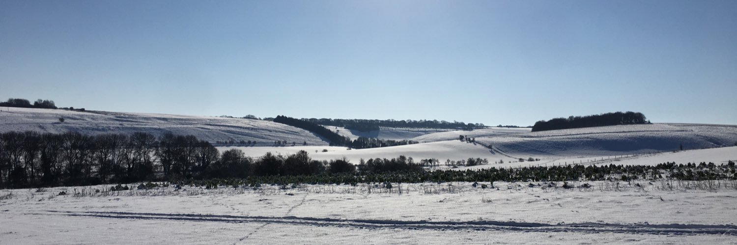 WelshSeanSter's profile banner image